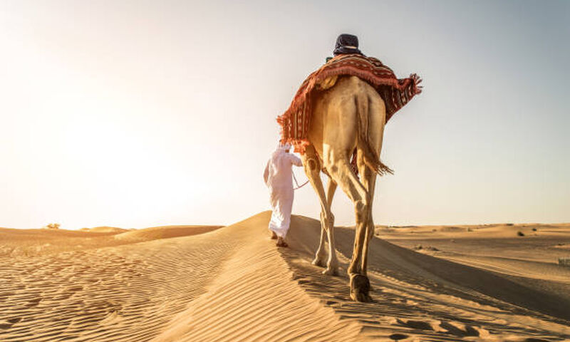 ARA TATİL ÖZEL FIRSAT DUBAİ TURU Dubai Şehir Turu ve Legoland Turu Dahil