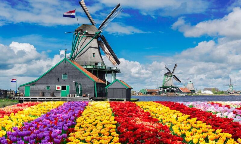 Elit Amsterdam Turu THY ile 3 Gece Ekstra Turlar Dahil Kasım Ara Tatil Dönemi