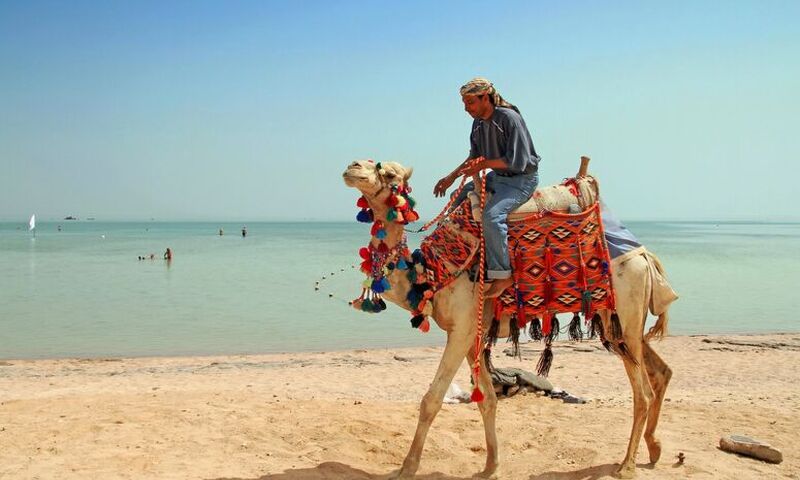  Baştanbaşa Mısır Turları Sömestre Özel Hurgada Kahire Sharm THY ile 7 Gece 8 Gün