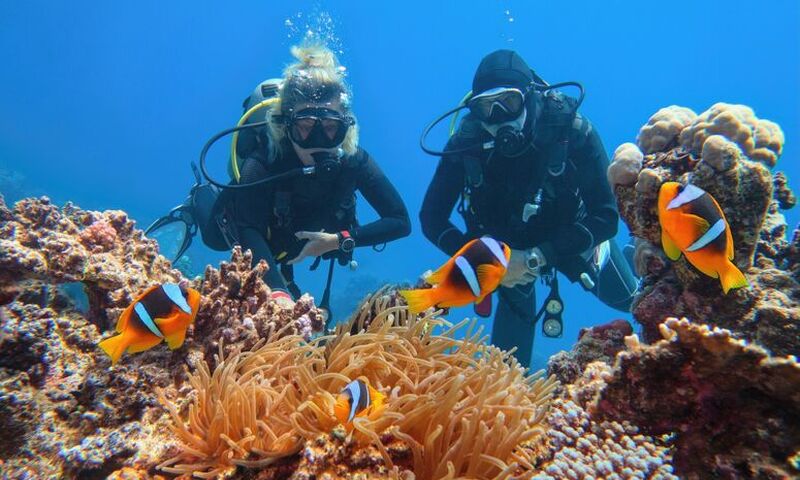 Mega Promosyon Mısır Şaheserleri Turu Pegasus HY ile 5 Gece - İskenderiye Çıkışlı Tur Programı