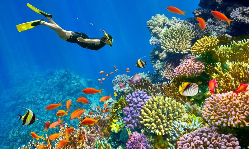     MEGA PROMOSYON BAŞTANBAŞA GİZEMLİ MISIR TURU