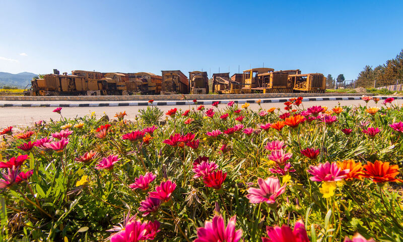 KIBRIS KÜLTÜR TURU-Grand Pasha Kyrenia Hotel Konaklama