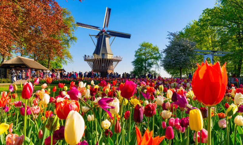 Benelux Paris Turu Pegasus HY ile 7 Gece Kış Dönemi Tur Programı